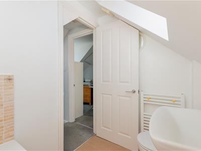 Picture 23